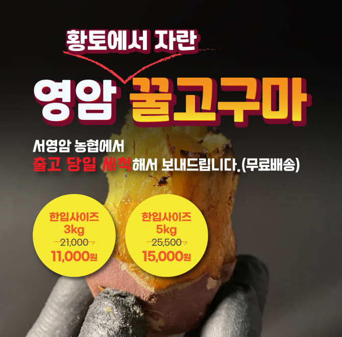 직숑마트의 꿀고구마는 전라남도 영암 황토밭에서 친환경 농법으로 재배한 꿀고구마라고 합니다.그렇게 재배된 고...