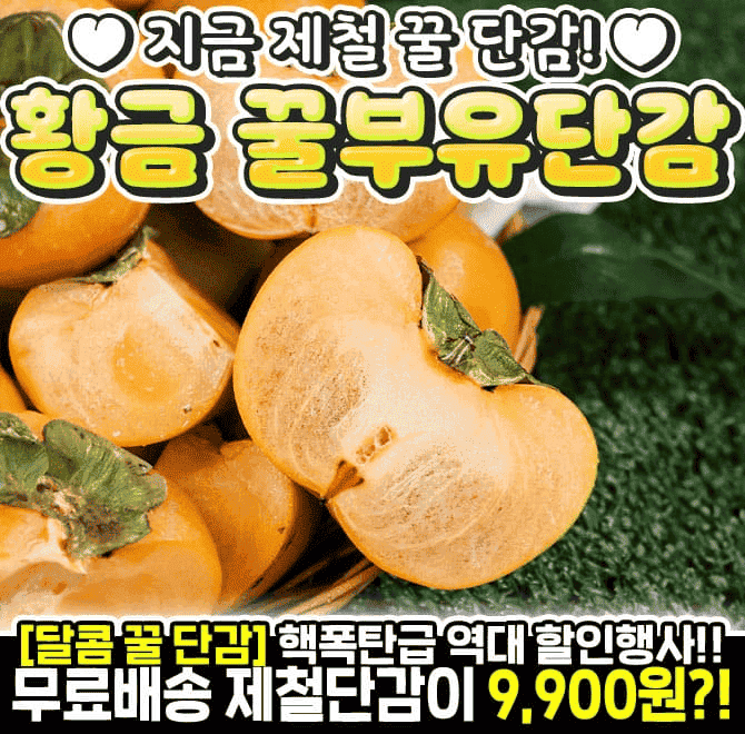 2024제철햇 꿀!단감!감 중에서 제일 달콤한 품종!가을의 대표과일 단감!그중에서도 제일 달콤하기로 소문난황궁 꿀...