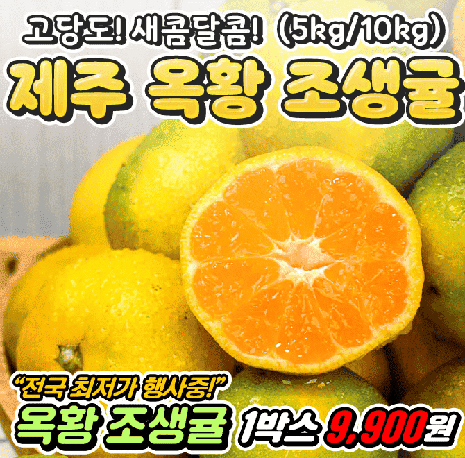 단 하루동안 진행되는 캐시딜 타임특가에서 고당도! 새콤달콤! 제주 옥황 조생귤 5kg 10kg이 역대급 할인으로 OOOO...