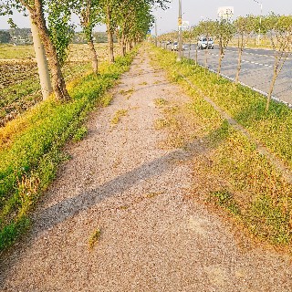 유저 프로필 사진