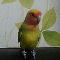 유저 프로필 사진