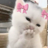 피까님의 프로필 이미지