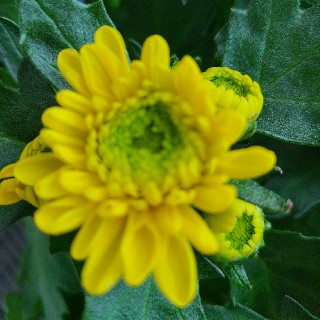 프로필 이미지
