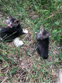 초록#Mp0N님의 프로필 이미지