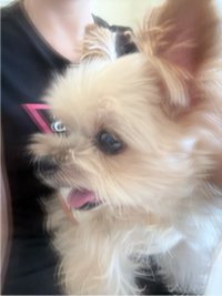 설아#sZZI
