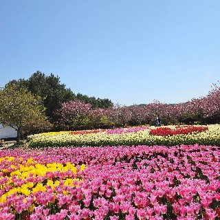 유저 프로필 사진