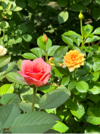 순두부좋아님의 프로필 이미지