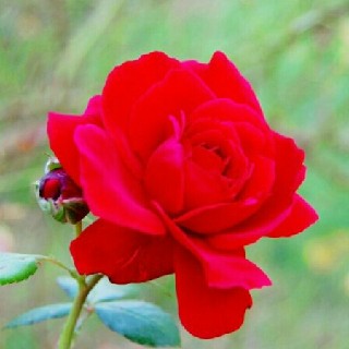 프로필 이미지