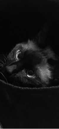 _캐시톡이제안합니다