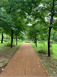 borinana님의 프로필 이미지