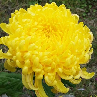 유저 프로필 사진