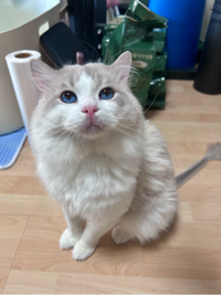 눨님의 프로필 이미지