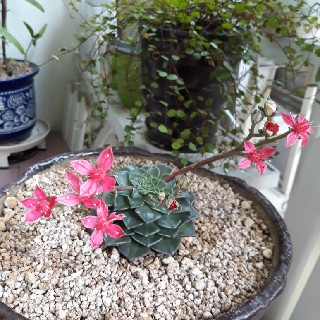 유저 프로필 사진