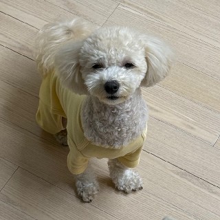 유저 프로필 사진