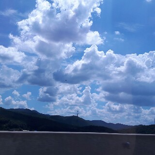 유저 프로필 사진