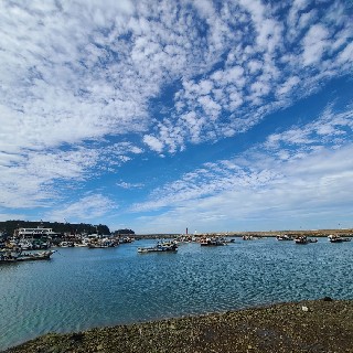 시작이다님의 프로필 이미지
