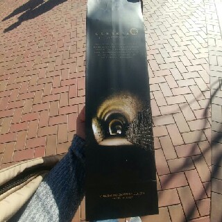 _별이 오후11시반