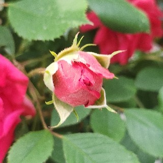 프로필 이미지