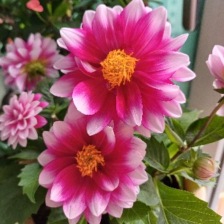 프로필 이미지