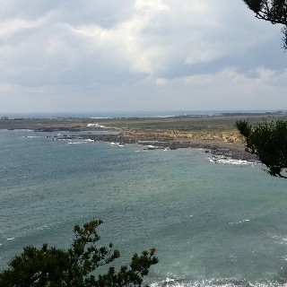 유저 프로필 사진