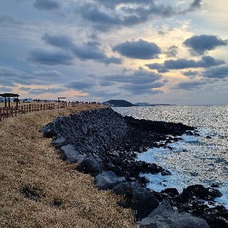 유저 프로필 사진