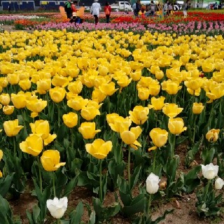 유저 프로필 사진