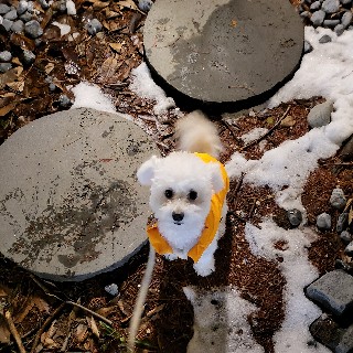 유저 프로필 사진