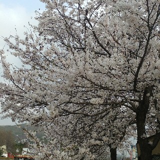 쏘!님의 프로필 이미지