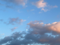 디오#wrmI님의 프로필 이미지