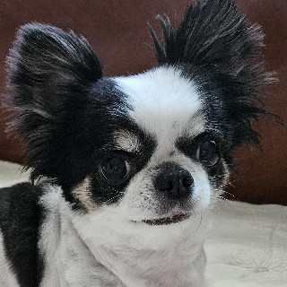 유저 프로필 사진