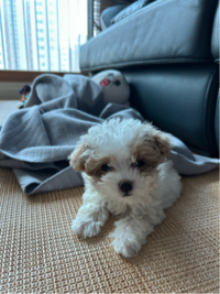 Elly Kim님의 프로필 이미지