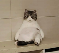 줭줭#V99f님의 프로필 이미지