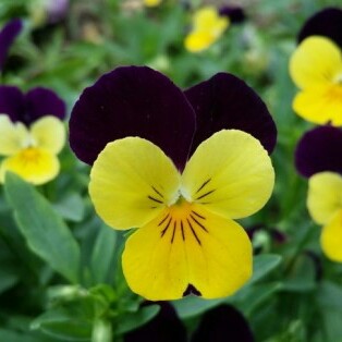 유저 프로필 사진