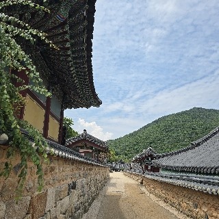 해피#FvpS