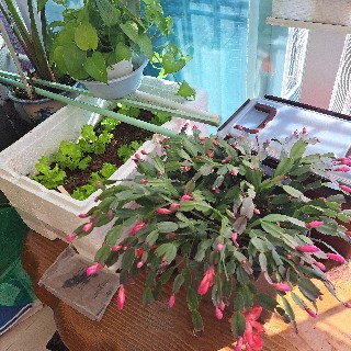 유저 프로필 사진