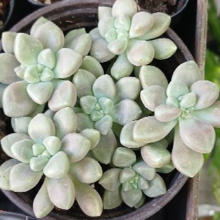 유저 프로필 사진