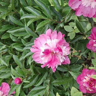 프로필 이미지