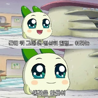 콜리/자정~08시