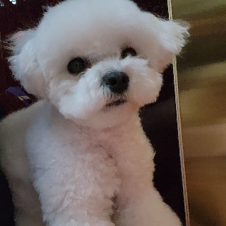 유저 프로필 사진