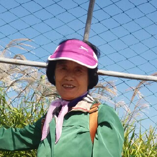 순화