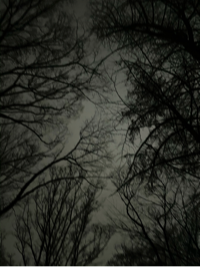 조예인#wpy2님의 프로필 이미지