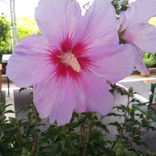 유저 프로필 사진