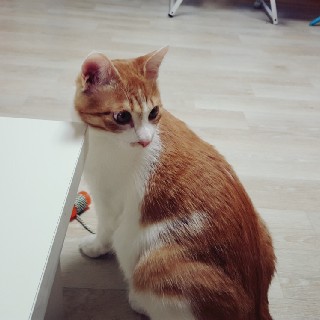 유저 프로필 사진