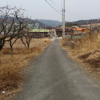 유저 프로필 사진