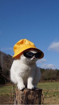 유저 프로필 사진