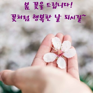 유저 프로필 사진