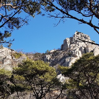 유저 프로필 사진