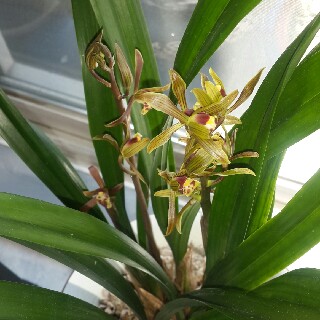 유저 프로필 사진