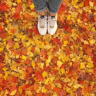 유저 프로필 사진