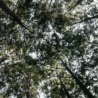 유저 프로필 사진